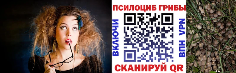 Купить где  Углегорск  Псилоцибиновые грибы мицелий 